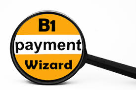payment wizard 1