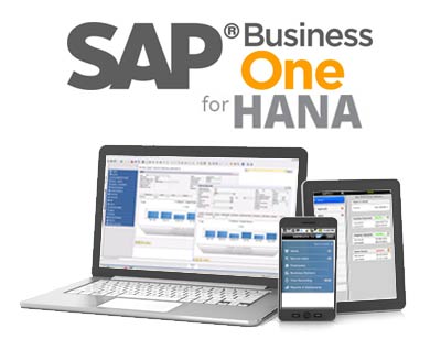 SAP BUSINESS ONE STARTER PACKAGE