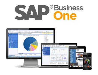 SAP Business One Starter Package